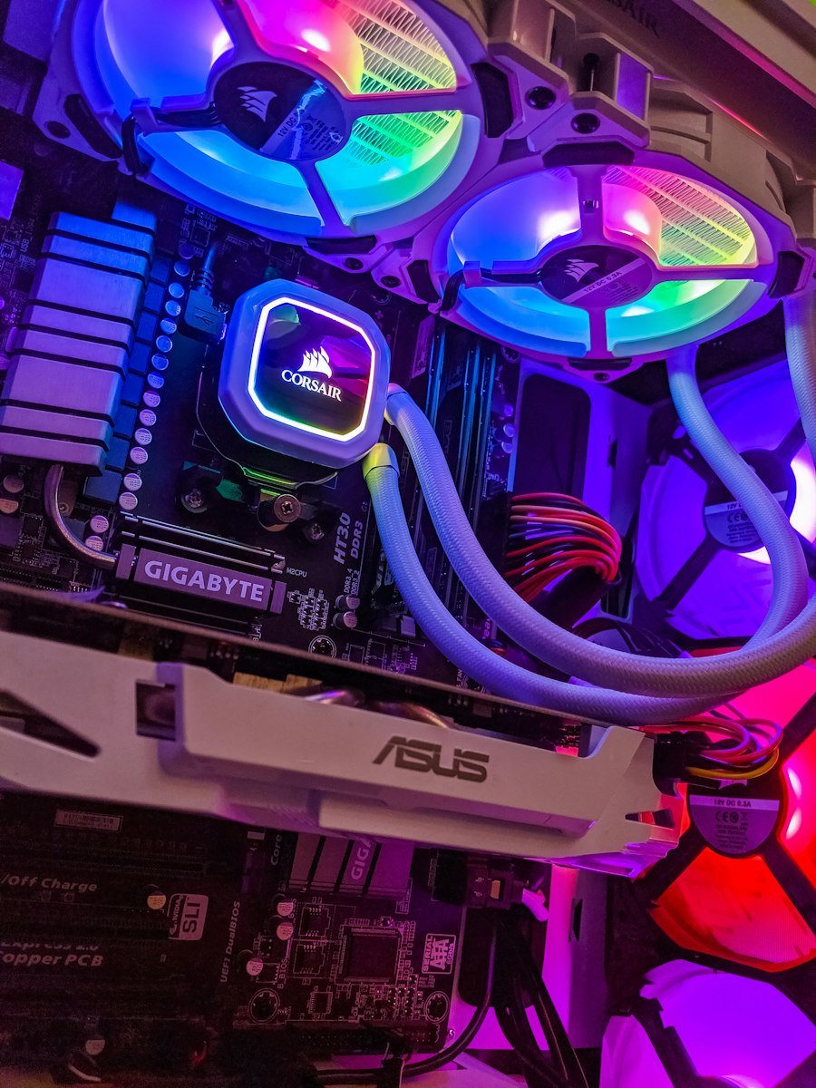 Dragon Supreme Custom Rig